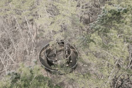 Secret Forest Tree Pavilion